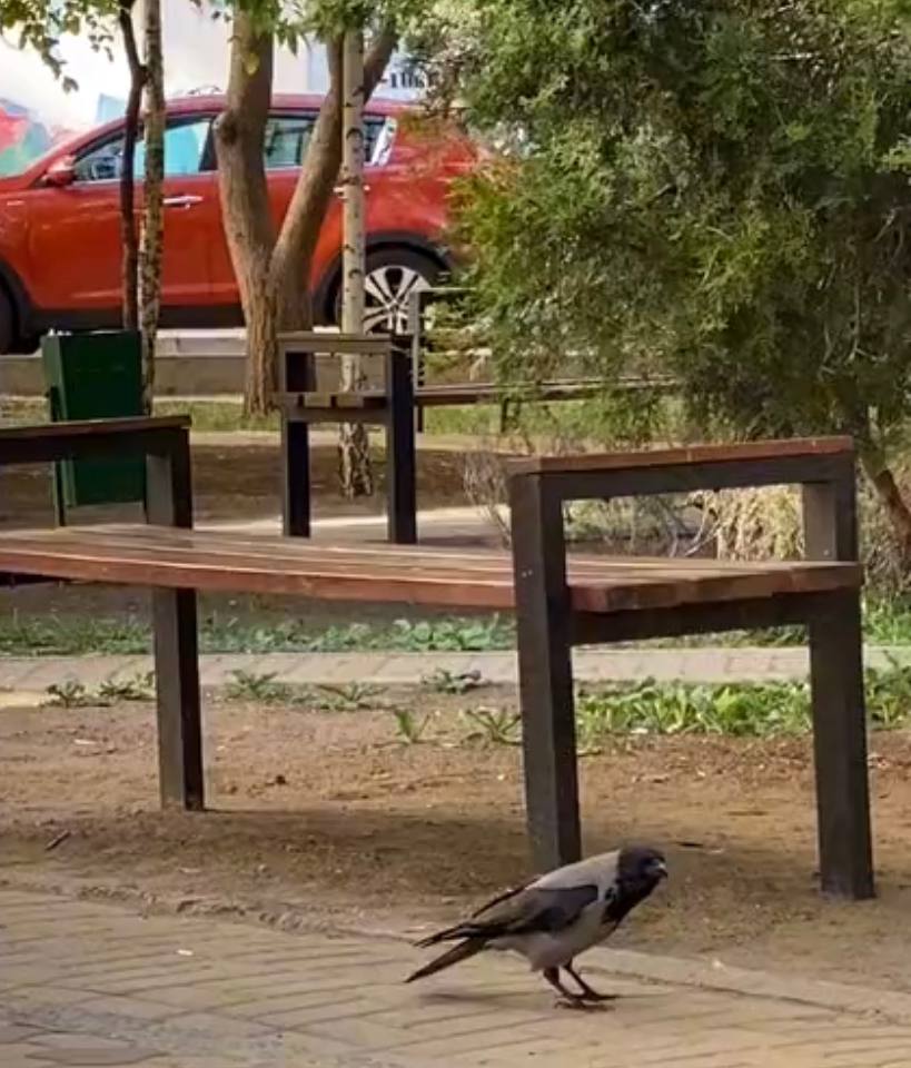 Bench