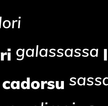 gari-piece4